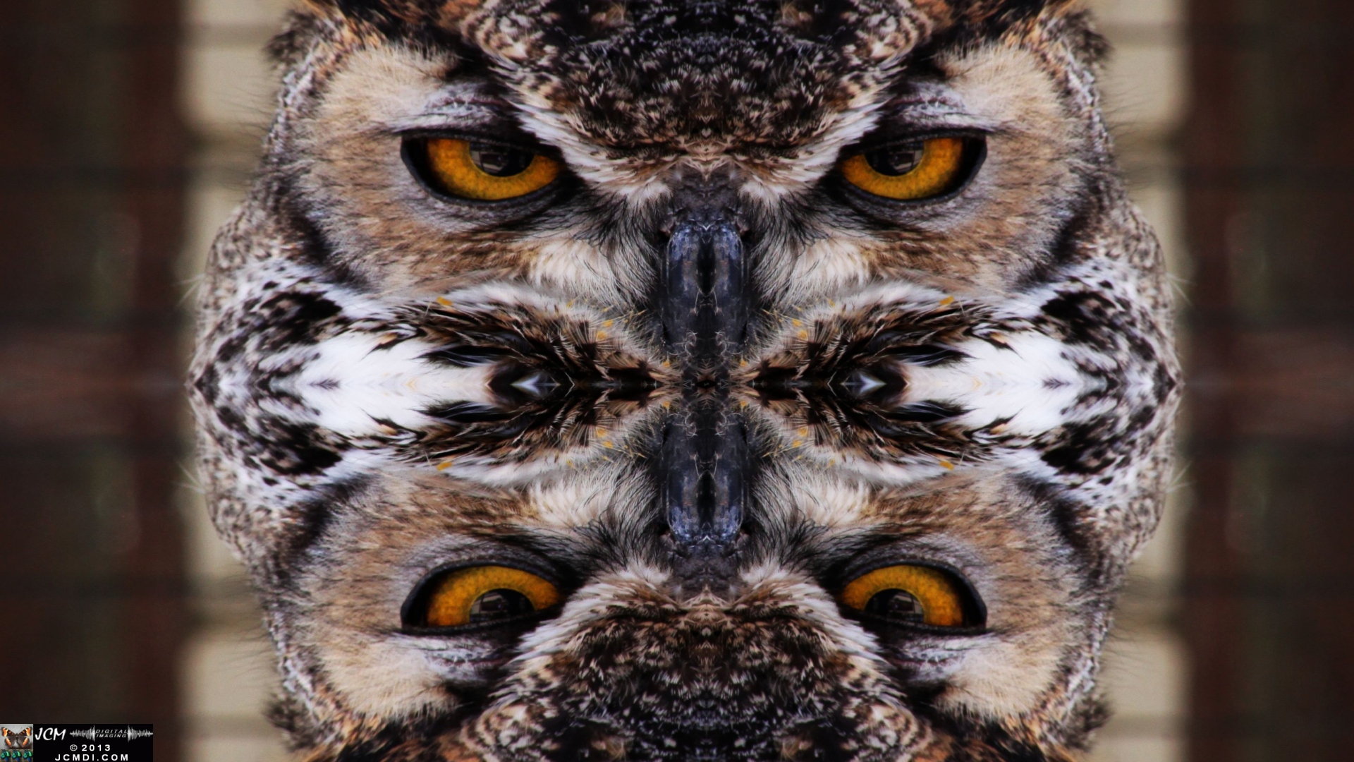 A cool quadroscopic image of a Great Horned Owl at Devil's Punchbowl county park
